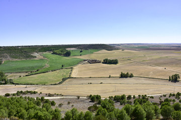 view of the fields from the top of the town
