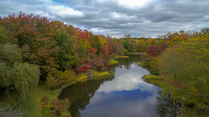 autumn in the forest