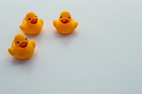 rubber ducks toys