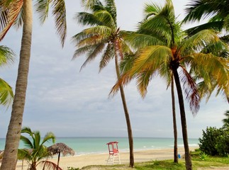 Fotografía panorámica del Mar Caribe con palmeras y vegetación que llega a la misma arena blanca con el agua color turquesa al fondo y caseta roja para vigilantes