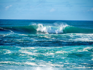Surfers attempt to ride the big waves of Oahu's North Shore.