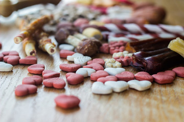 Dog tasty colored biscuits, snacks for dogs 