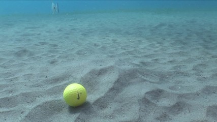 golf ball underwater  rolling on the sand with fish around on sandy bottom