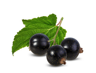 Black currants with leaves isolated on white background with clipping path
