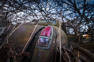 the tail light on a car wreck in the forest