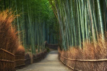Poster Bamboo forest in Arachiyama park on Japan © Peerawat
