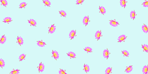 Lotus flowers isolated on blue background for pattern