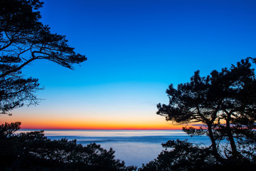 Vibrant sunset over ocean with trees in foreground, Sweden