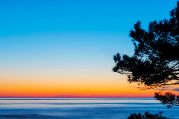 Vibrant sunset over ocean with trees in foreground, Sweden