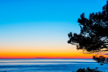 Fototapeta na wymiar Vibrant sunset over ocean with trees in foreground, Sweden