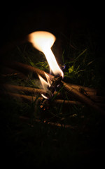 bonfire log burning in grass 