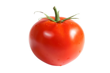 Tomato