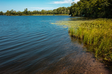 Fototapeta na wymiar Looking along the shoreline of Wildcat Lake in Vilas County. near Boulder Junction, Wisconsin in mid-August.