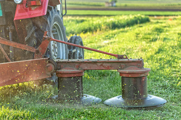 A tractor with implements mower cuts clover. Tractor mowing paddock