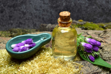 comfrey balm oil for remedy