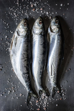 fresh fish herring on ice