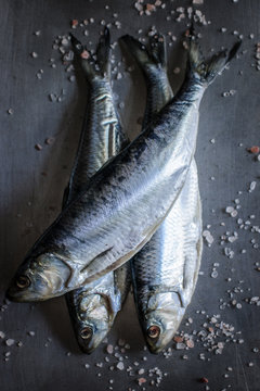 fresh fish herring on ice