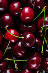 cherry pattern 
