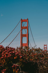 Golden Gate bridge surrounded by flowers. Postcard of the most famous bridge in San Francisco