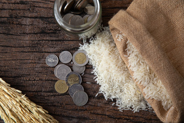 ZAKAT donation for Muslim according to religious principles during the Ramadan month,
concept: rice...