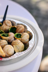 snails on a plate