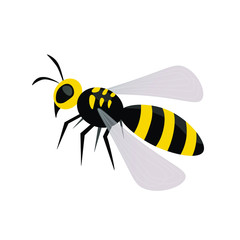 wasp, bee, insect vector. Illustration for printing, backgrounds, icon web, mobil design, wallpapers, covers, packaging, posters, stickers, textile and seasonal design. Isolated on white background.