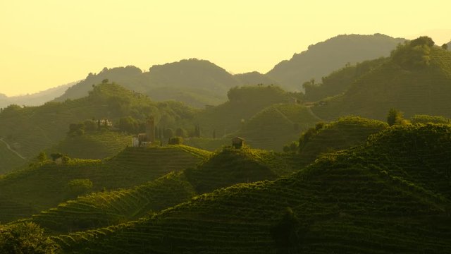 View of the green Prosecco wine hill with the small Saint Lorenz church, Chiesetta di San Lorenzo, Farra di Soligo - Conegliano 