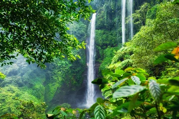  Sekumpul waterfall, Bali island, Indonesia. Natural tropical landscape at the summer time. High waterfall and forest Mountains and canyon. Travel - image © biletskiyevgeniy.com