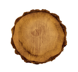 Felled piece of wood from a tree trunk with growth rings isolated on white. 