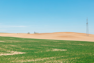 Korisnike plowed the field and sowed a green field.Blue sky.