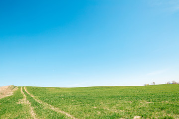 Green field, path on the left, blue sky, General plan. Natural background