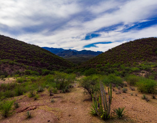 paisaje en bacanora sonora 