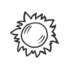 The sun. Vector linear drawing of the sun. The symbol of the sun.