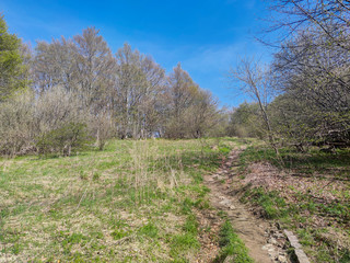 Spring Landscape of Vitosha Mountain, Bulgaria
