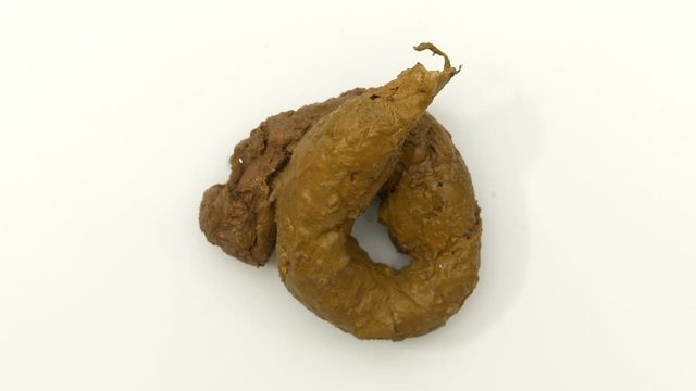 Poop, top down view isolated on white background