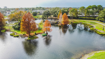 autumn in the park