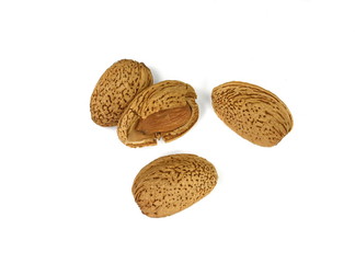 Almond nut in shell and shelled with almond flower isolated on white background close up