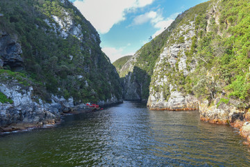 Fototapeta premium Tsitsikamma (Garden Route) National Park, is one of the top attractions on the Garden Route, South Africa