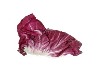 Obraz premium Radicchio, red salad isolated on white background. Red cabbage.