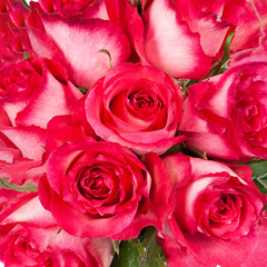 Bouquet of red roses.