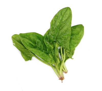 Fresh Green Spinach Isolated On White Background. Green Spinach Leaves. Green Food.