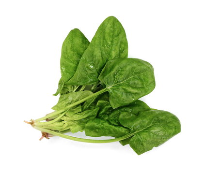 Fresh Green Spinach Isolated On White Background. Green Spinach Leaves. Green Food.