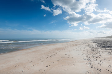 Beautiful Winter Floridian Beach