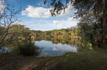 Gorgeous Floridian winter landscape