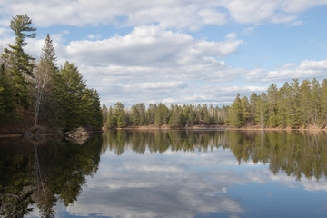 Reflections of spring forest in the water in Algonquin Park Ontario Canada