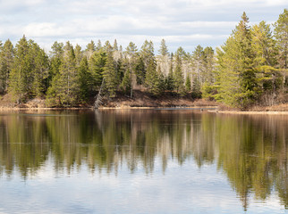 Obraz premium Reflections of spring forest in the water in Algonquin Park Ontario Canada