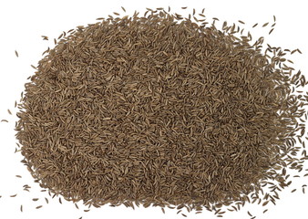 Cumin seeds or caraway isolated on white background