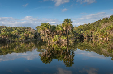 Fototapeta na wymiar Gorgeous Floridian winter landscape