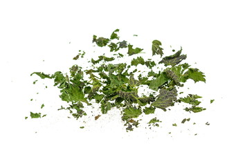 Closeup of dried nettle, heap of dried nettle isolated. Dry cut nettle pile, isolated on white...