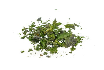 Obraz premium Closeup of dried nettle, heap of dried nettle isolated. Dry cut nettle pile, isolated on white background.